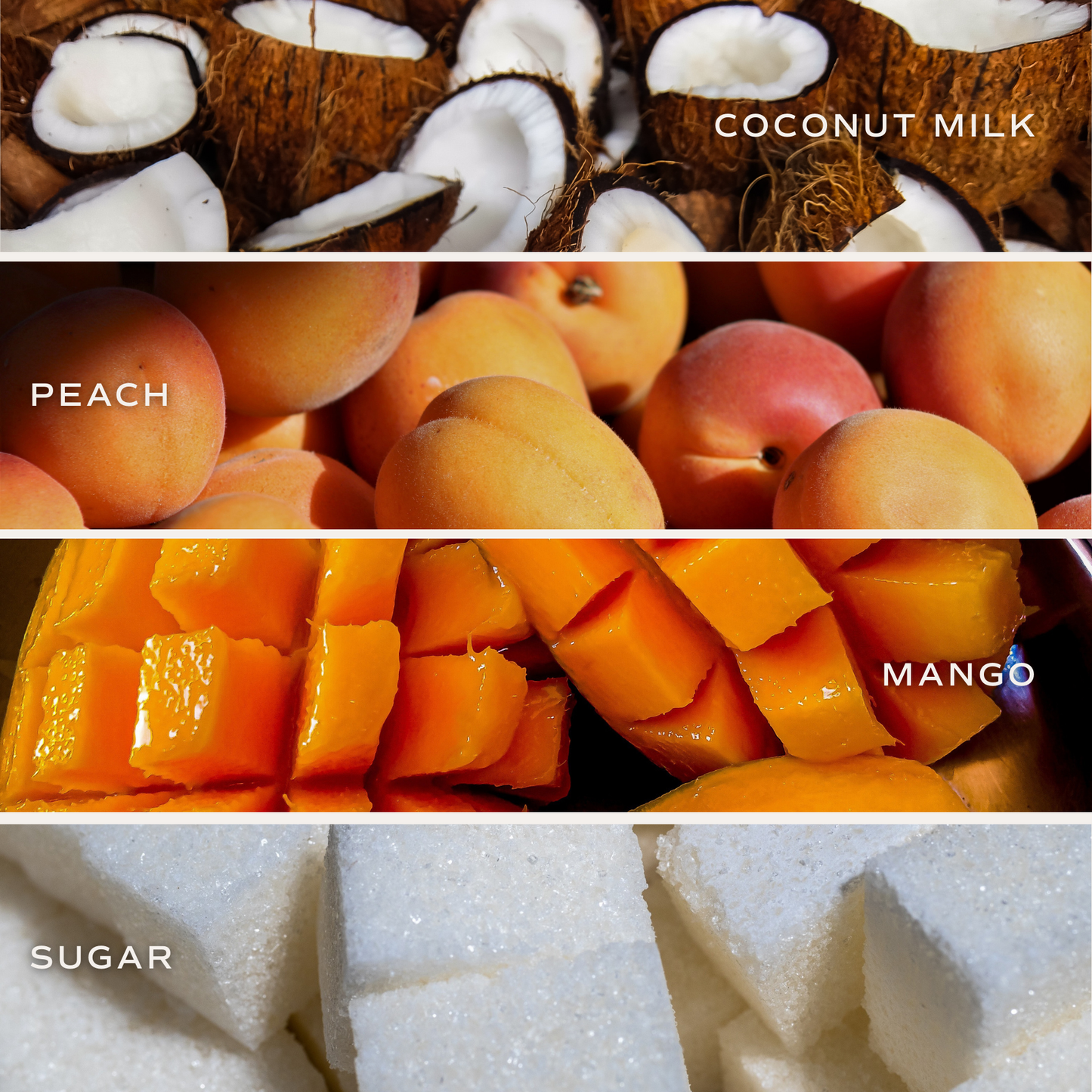 Mango and Coconut 12 oz Soy Candle - Home Decor and Gifts