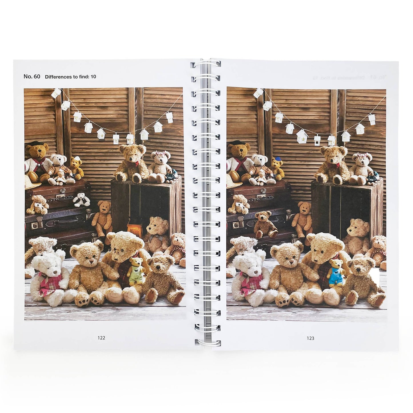 The Big Book of Spot the Difference Puzzle Book