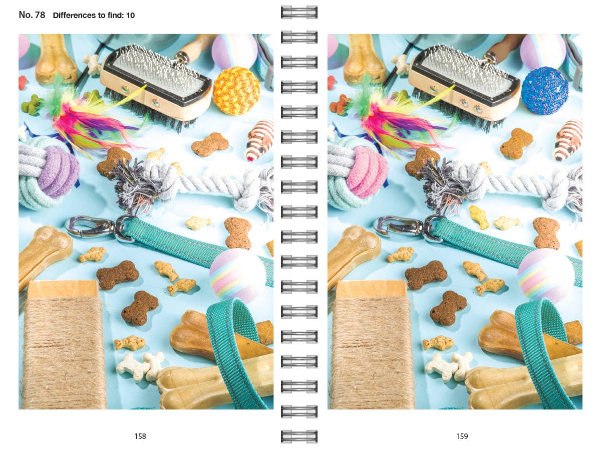 The Big Book of Spot the Difference Puzzle Book